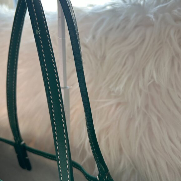 GOYARD Saint Louis PM in Green with Pouch - Picture 13 of 15